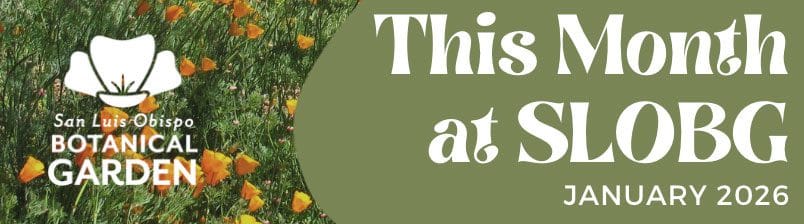 This Month at SLOBG – January 2026