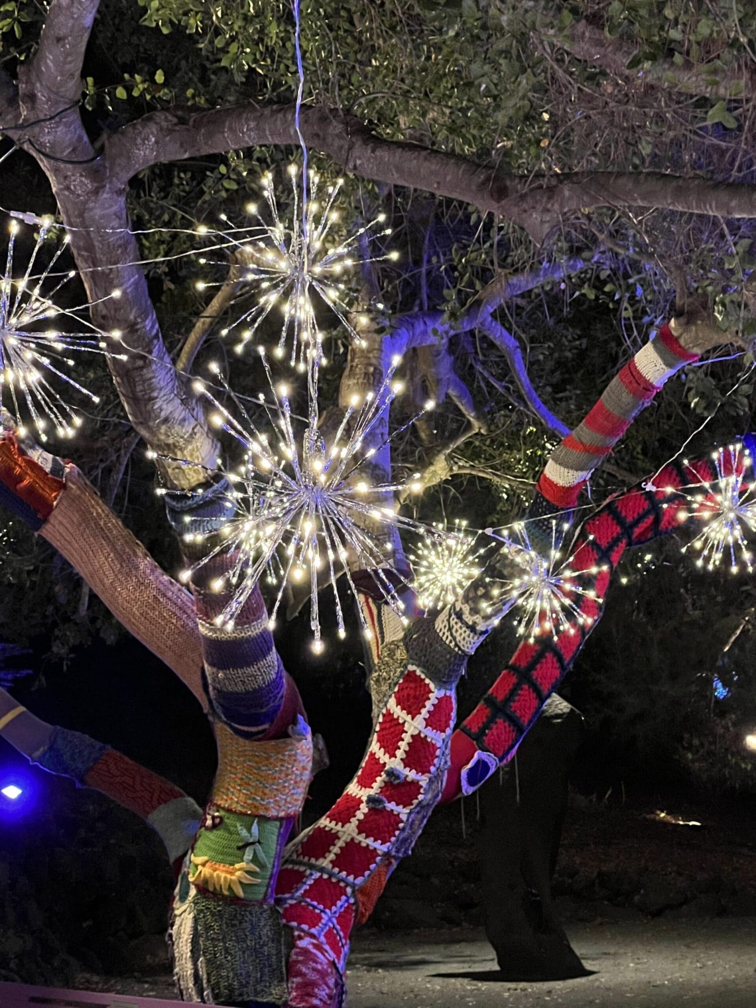 Warp tree with lights (1)