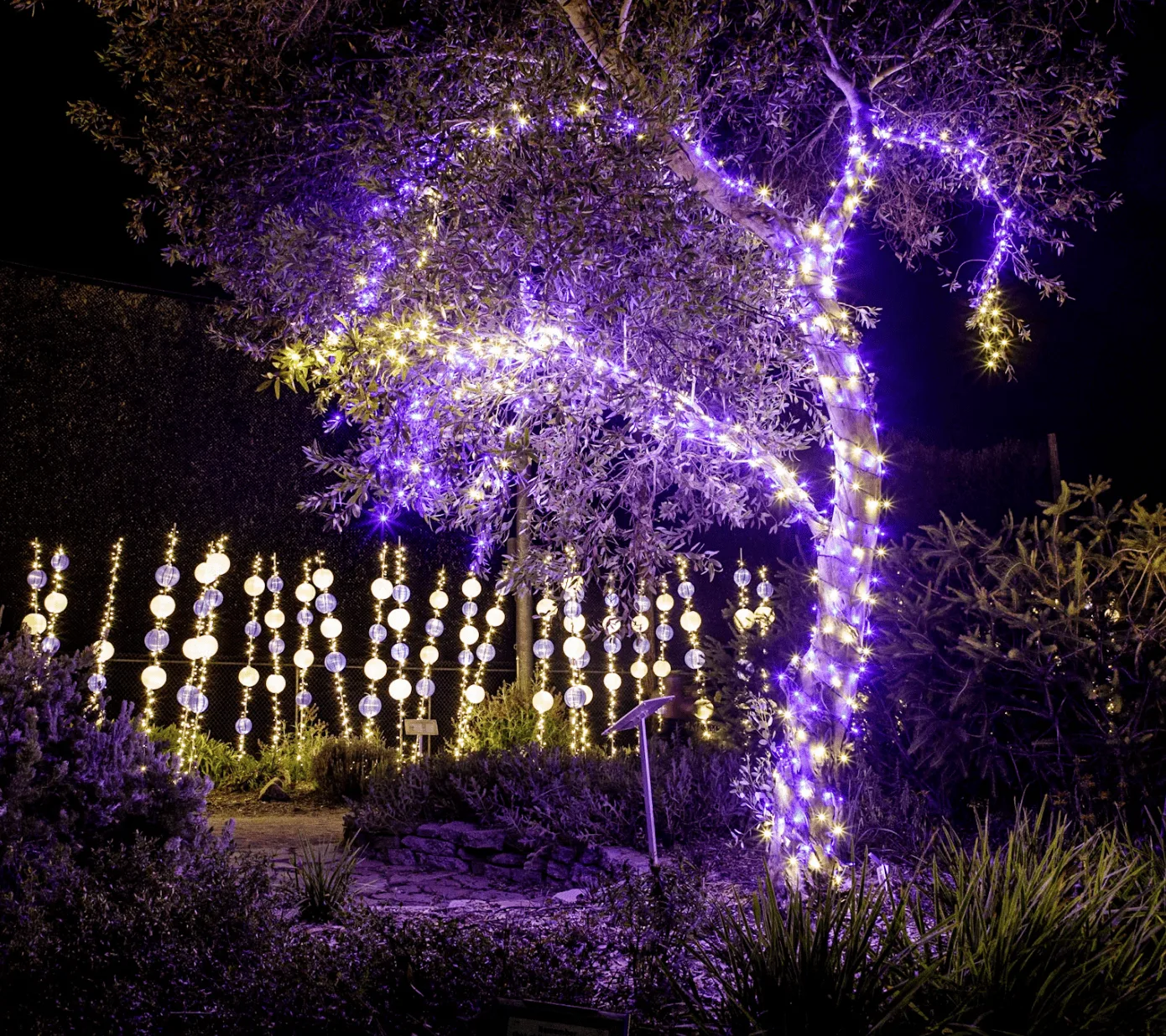 Nature Lights - SLO Botanical Garden