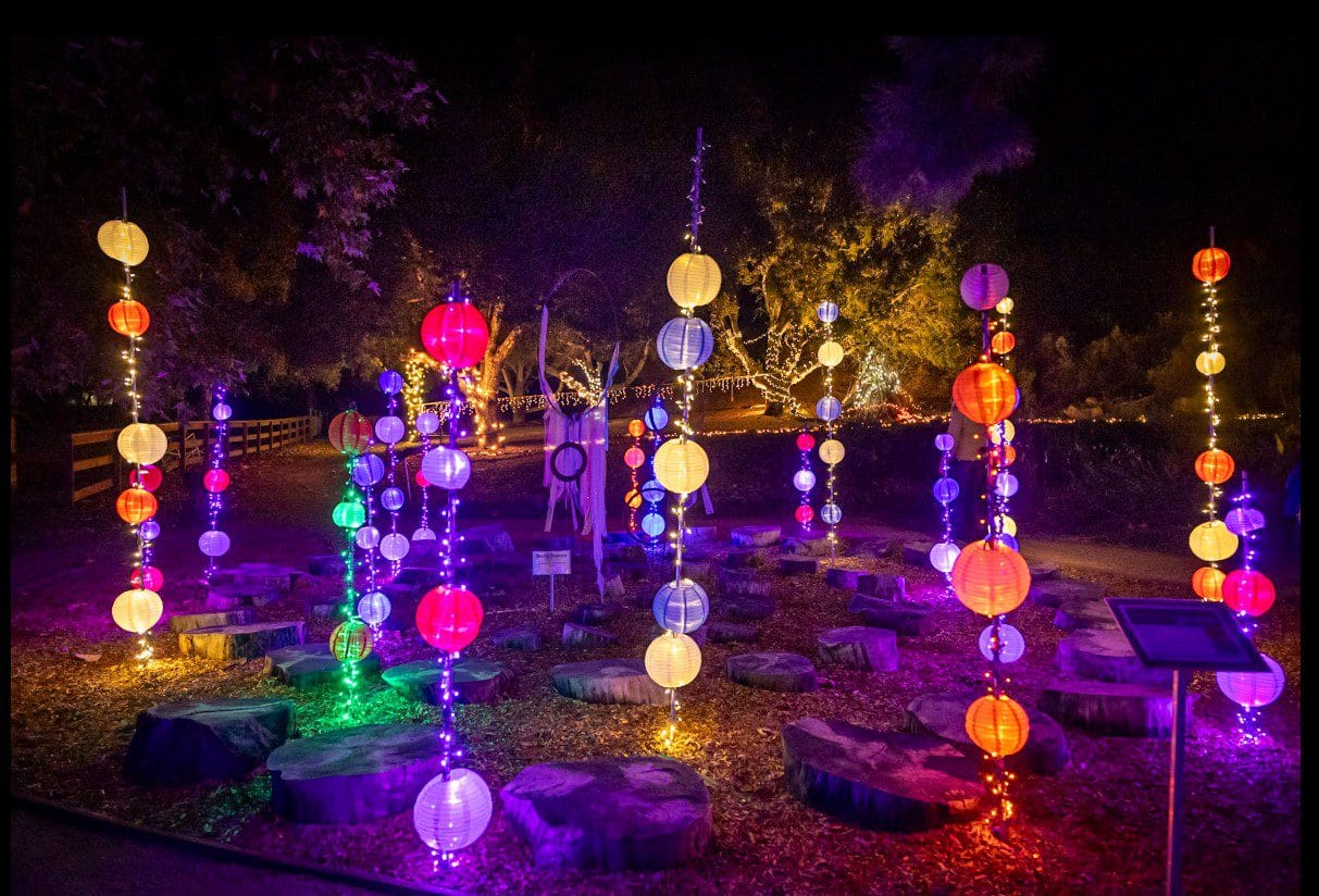 NatureLightsinChildrensGarden