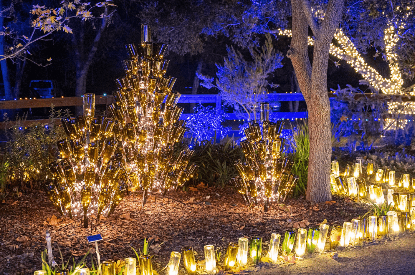 Screenshot 2025-10-08 at 12.37.14 PM