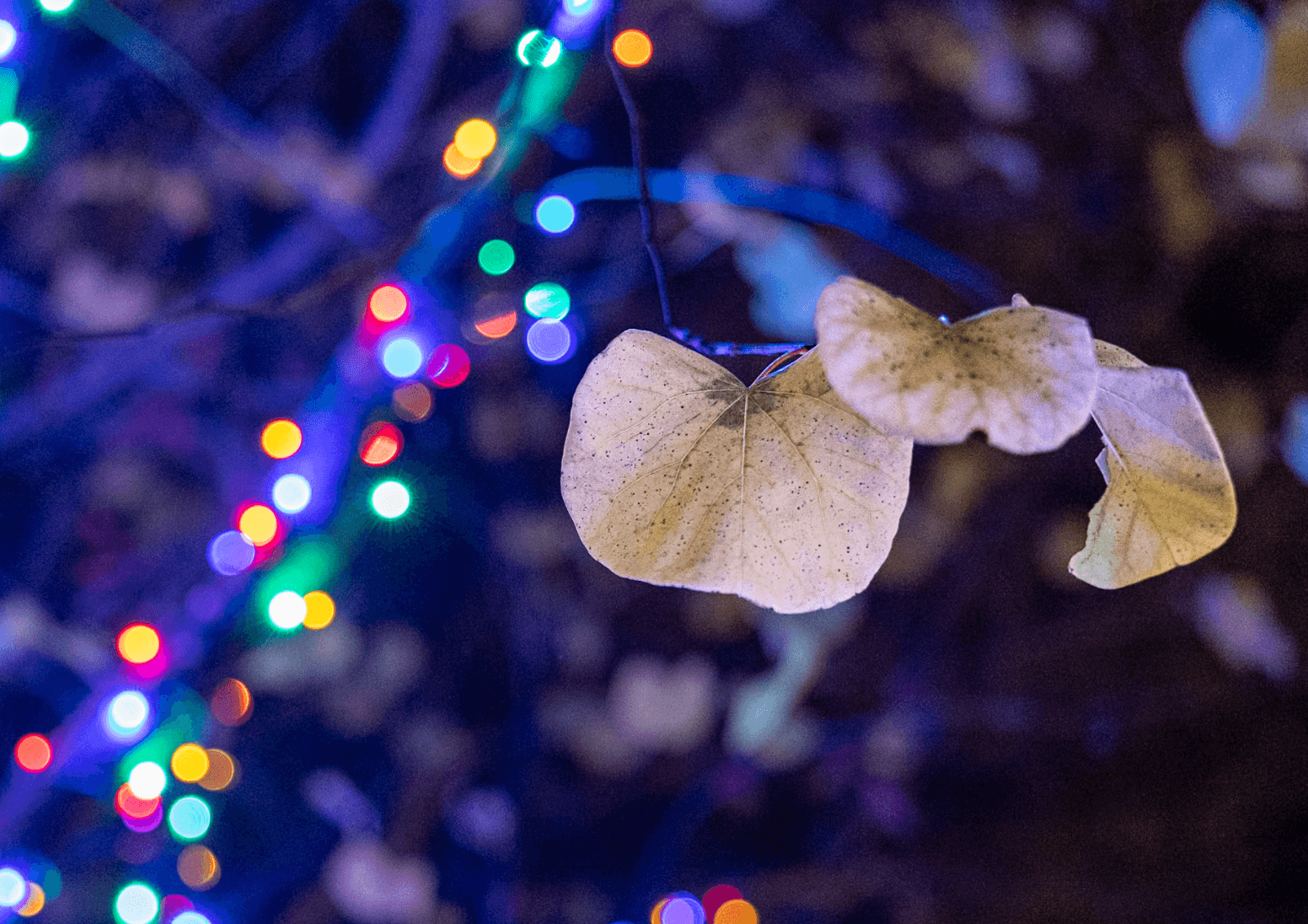 Screenshot 2025-10-08 at 12.39.30 PM