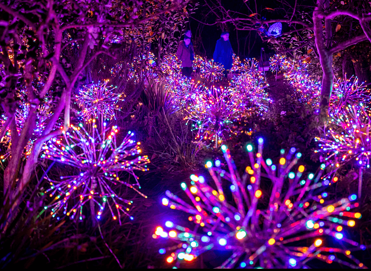 Screenshot 2025-10-08 at 12.42.19 PM