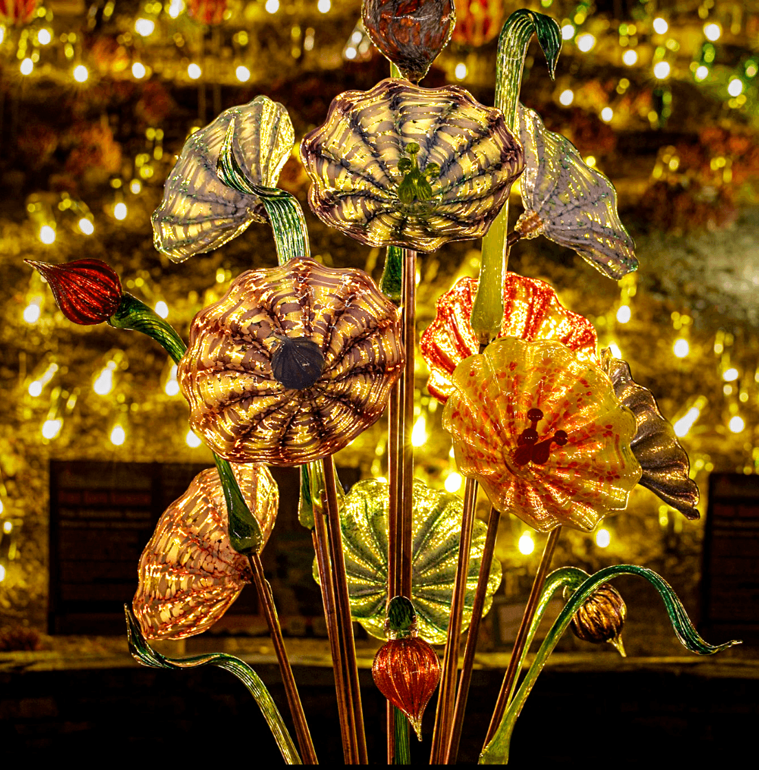 Screenshot 2025-10-08 at 12.54.50 PM