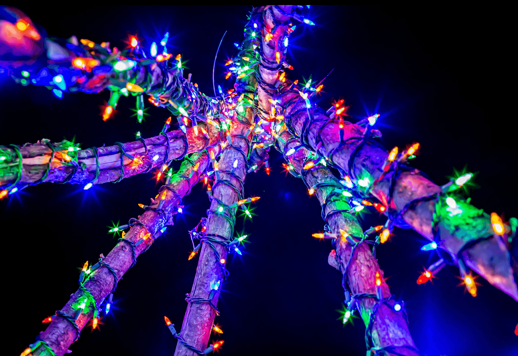 Screenshot 2025-10-08 at 12.55.29 PM