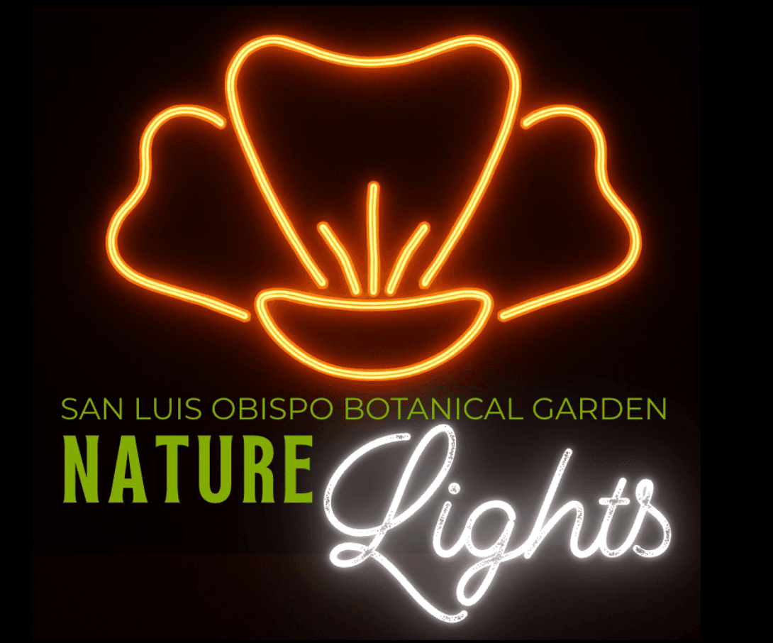 Screenshot 2025-10-15 at 10.08.07 AM