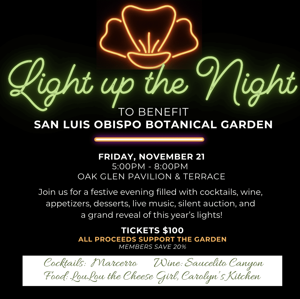 Screenshot 2025-11-13 at 2.31.02 PM