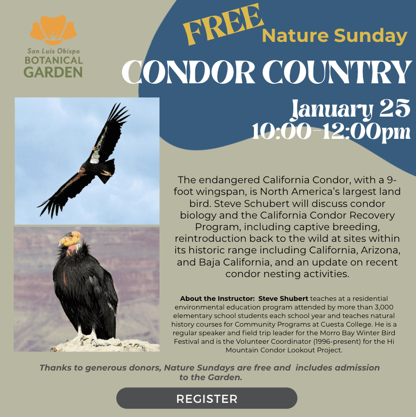 Screenshot 2025-12-08 at 11.47.20 AM