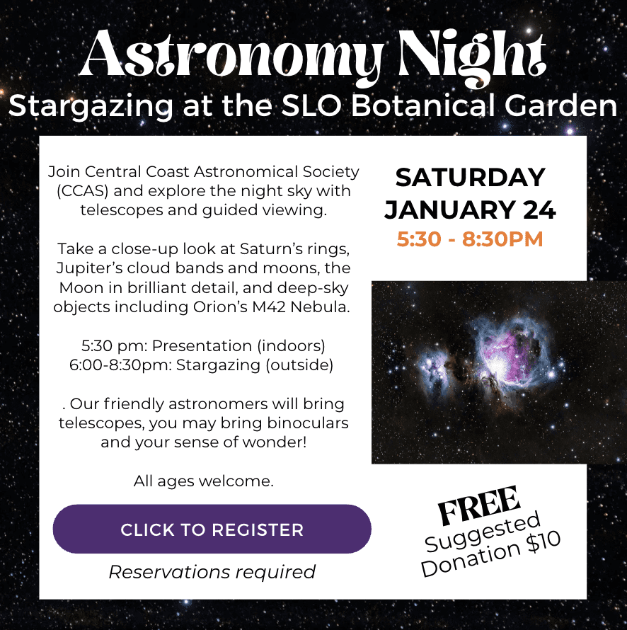 Screenshot 2025-12-29 at 3.19.04 PM