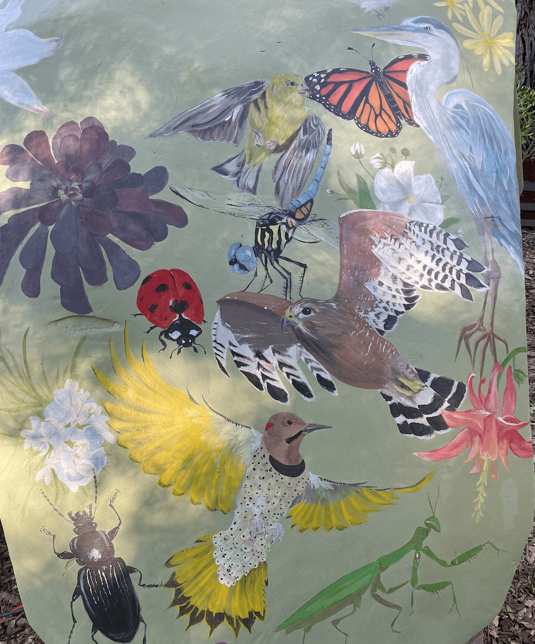 Screenshot 2026-01-05 at 11.22.58 AM