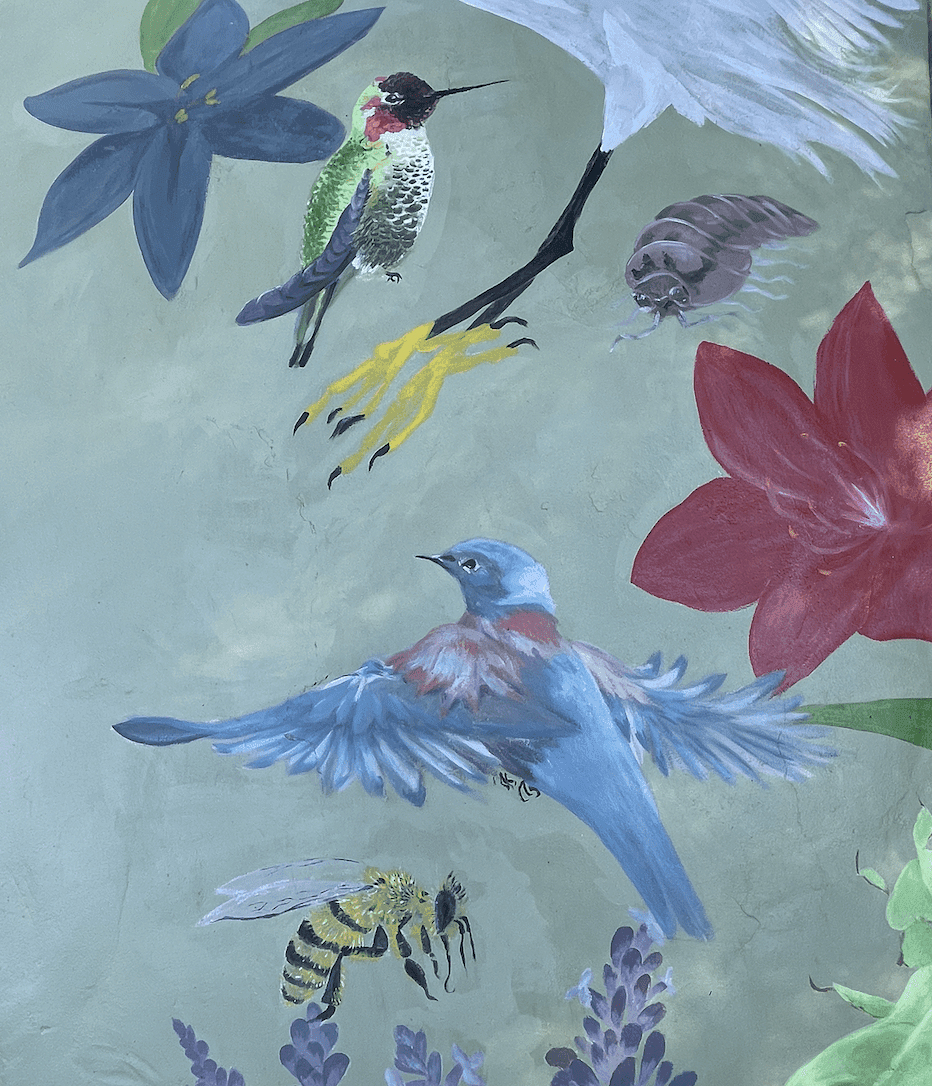 Screenshot 2026-01-05 at 11.23.29 AM