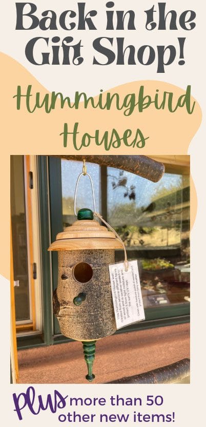 back-in-the-giftshop