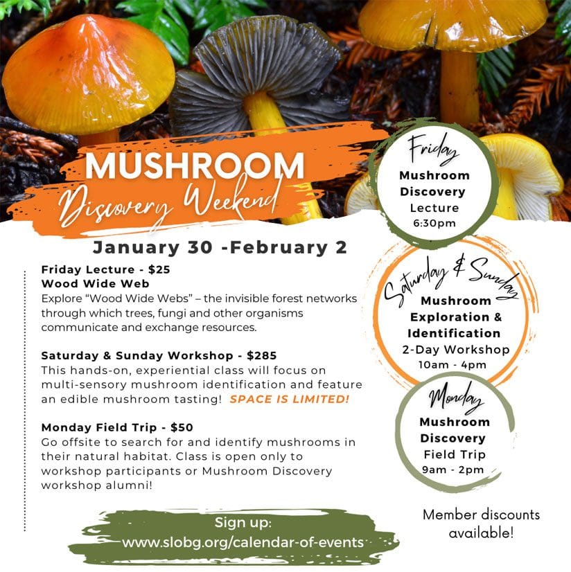 mushroom-discovery-weekend