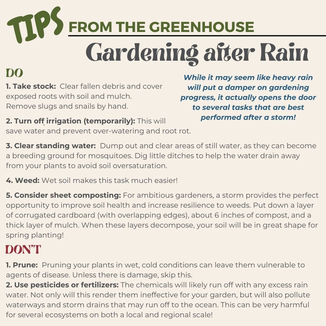 tips-from-the-green-house