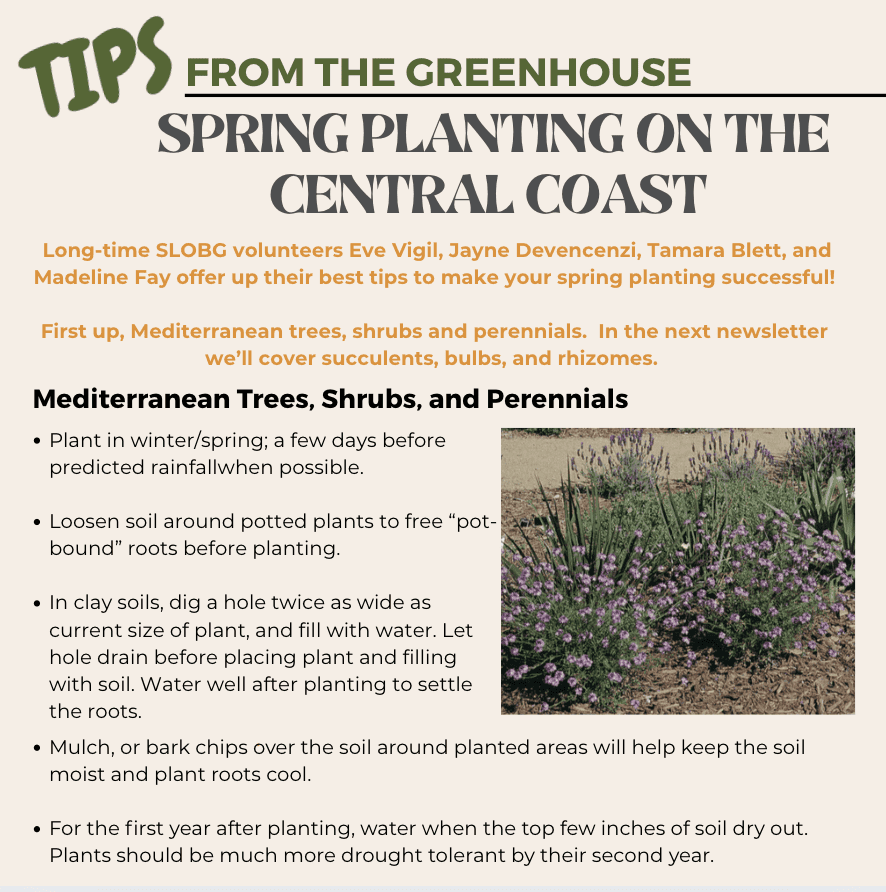 Greenhouse-Tips-Spring-Planting-Perennials-2026