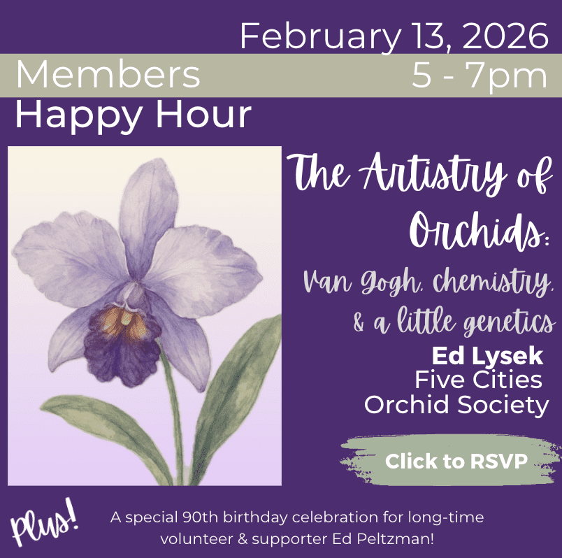 Happy-Hour-orchids-2026-02-13