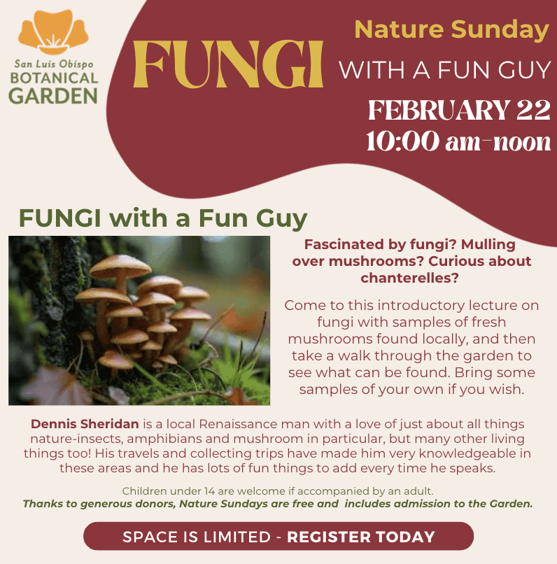 Nature-Sunday-Fungi-Fun-Guy_2026_02_22