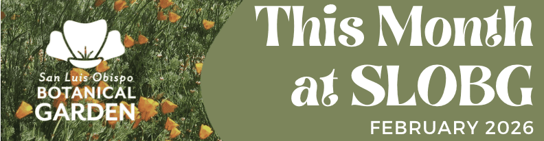 This Month at SLOBG – February 2026