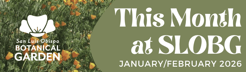 This Month at SLOBG:  January/February 2026