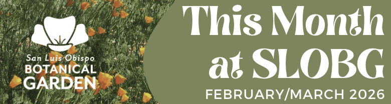 This Month at SLOBG – February/March 2026