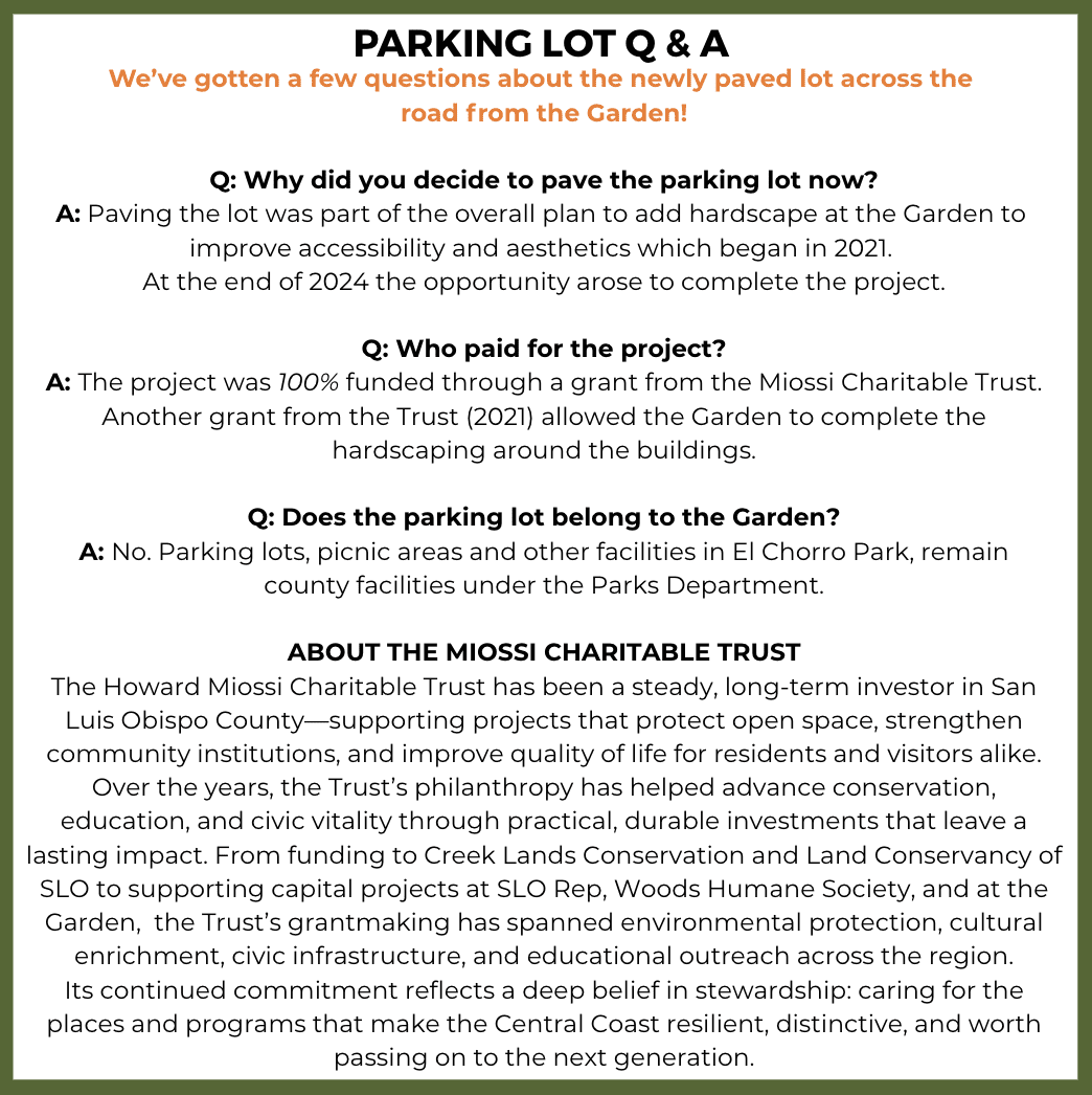 Screenshot 2026-02-11 at 1.42.44 PM