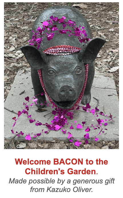 Screenshot 2026-02-19 at 11.44.16 AM