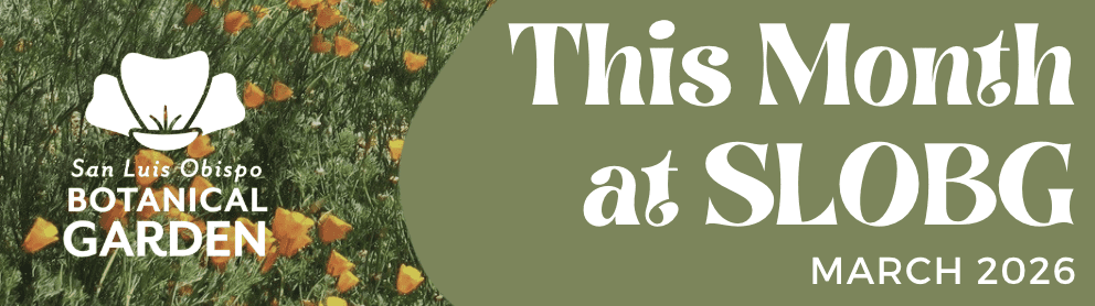 This Month at SLOBG – March 2026