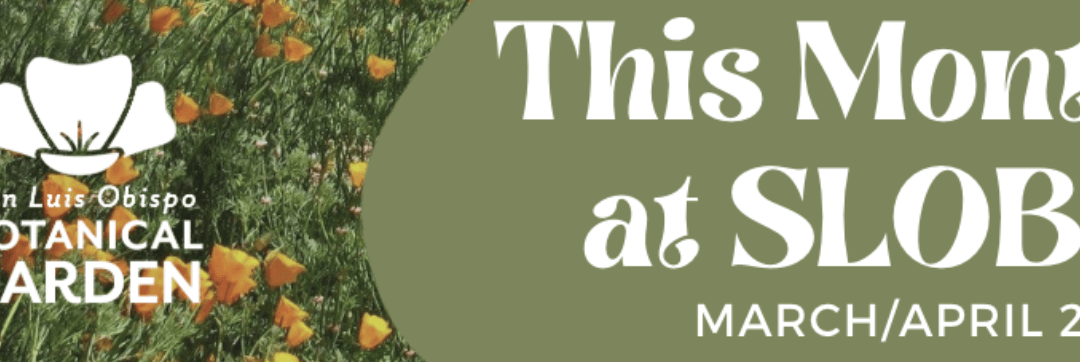 This Month at SLOBG – March/April 2026