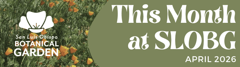 This Month at SLOBG – April 2026