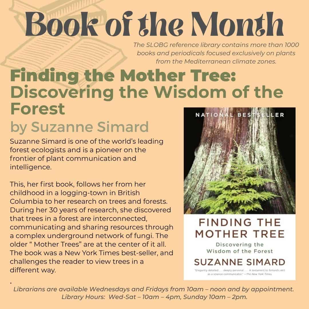 BookJune 25