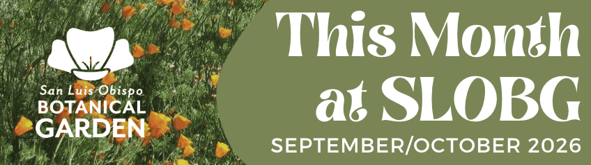 This Month at SLOBG – September/October 2026